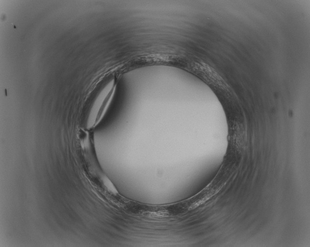 X0000083620548200703121631