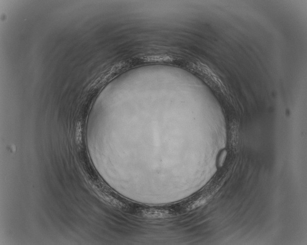 X0000083620549200703121631