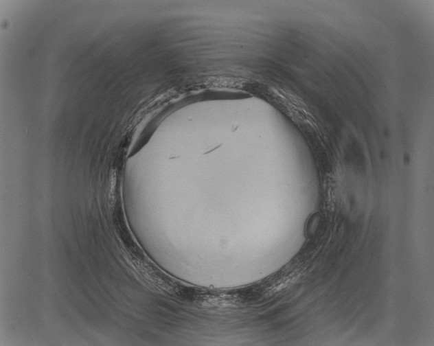 X0000083620550200703121631