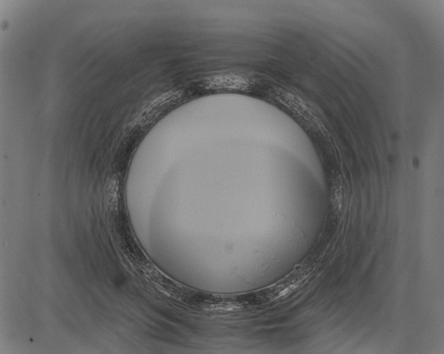 X0000083620551200703121631