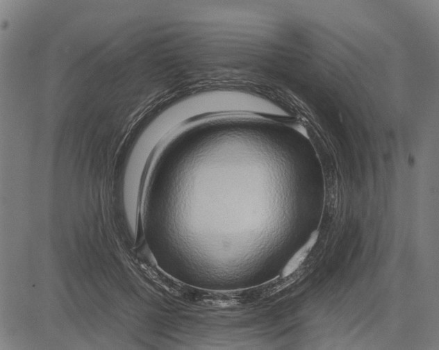 X0000083620552200703121631