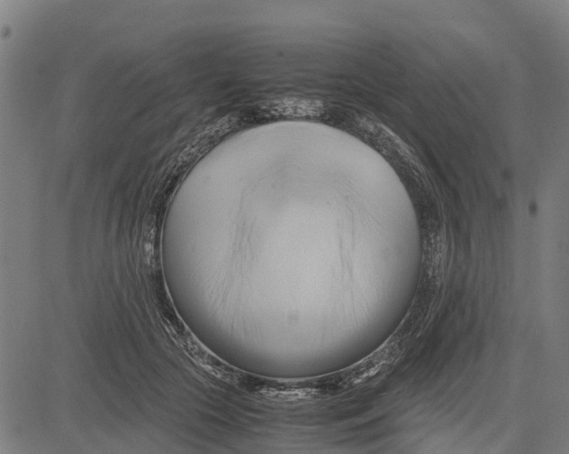 X0000083620553200703121631