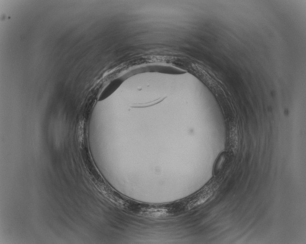 X0000083620554200703121631