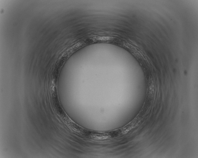 X0000083620555200703121631