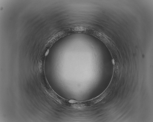 X0000083620556200703121631