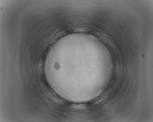 X0000083620557200703121631