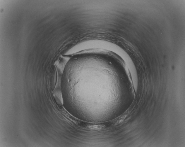 X0000083620558200703121631