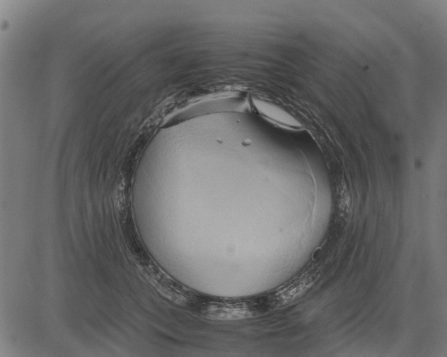 X0000083620559200703121631