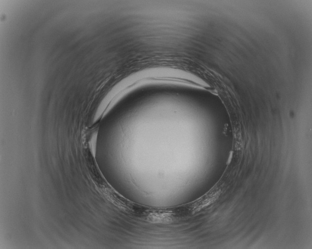 X0000083620560200703121631