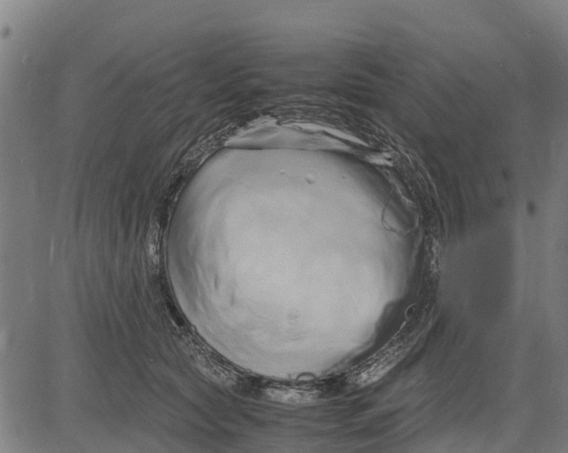 X0000083620561200703121631