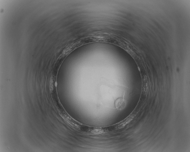 X0000083620562200703121631