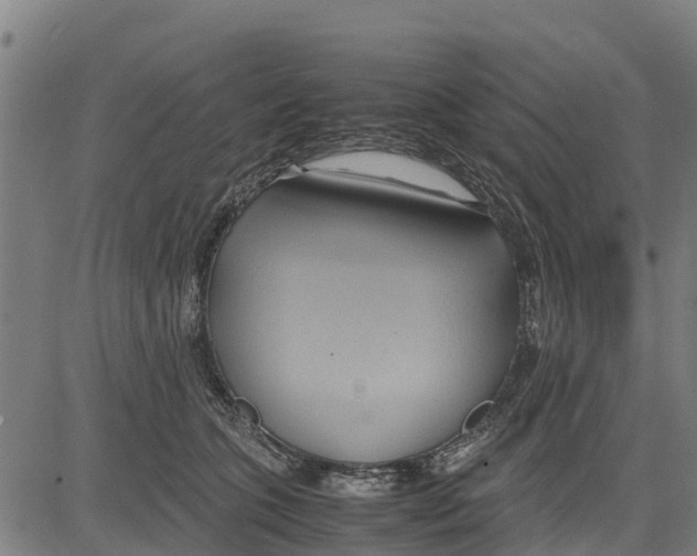 X0000083620563200703121631