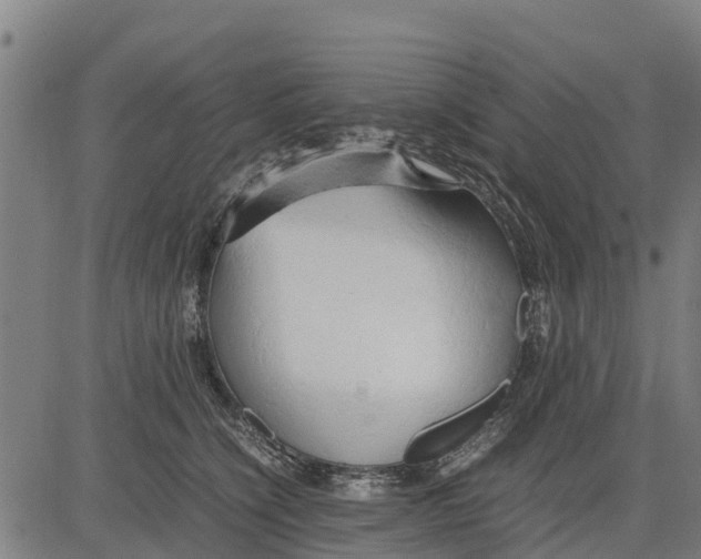 X0000083620564200703121631