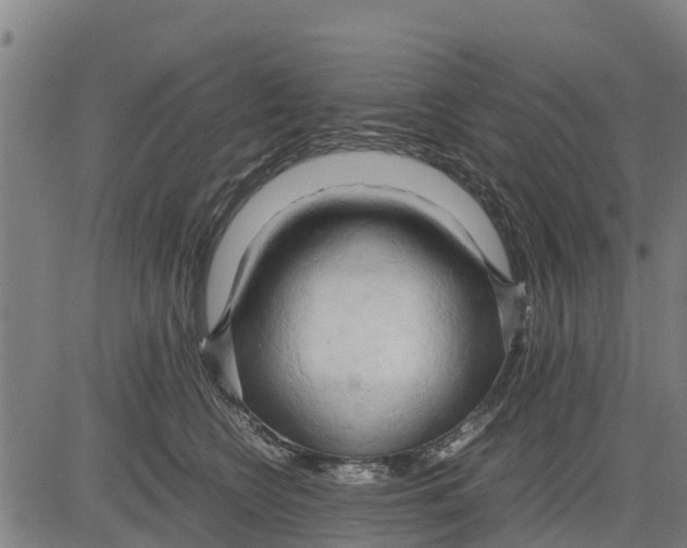 X0000083620566200703121631