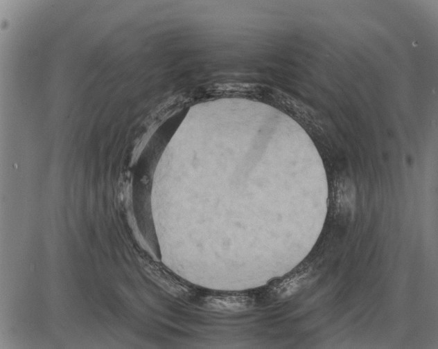 X0000083620567200703121631