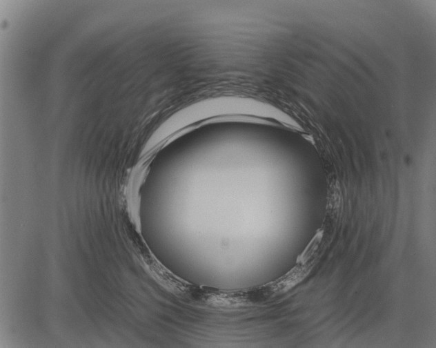 X0000083620568200703121631