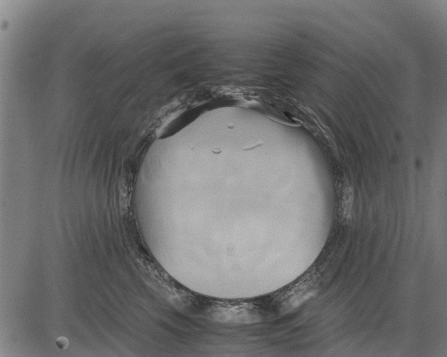 X0000083620569200703121631