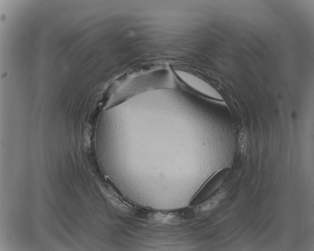 X0000083620570200703121631