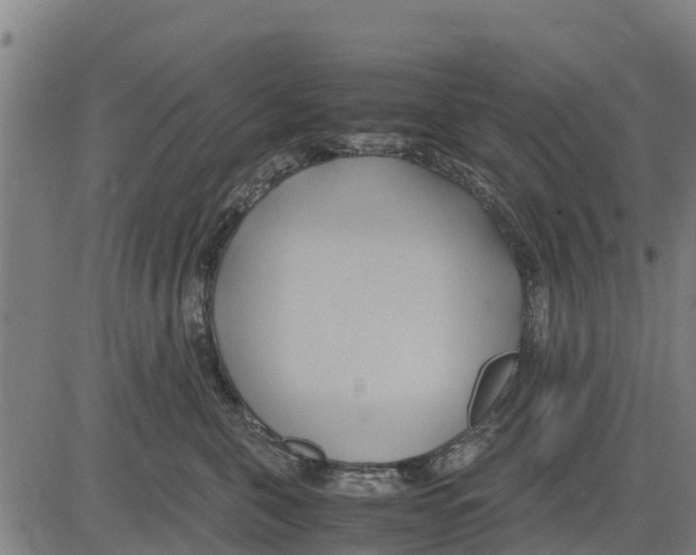 X0000083620571200703121631