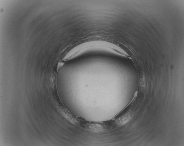 X0000083620572200703121631