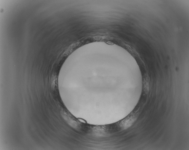 X0000083620574200703121631