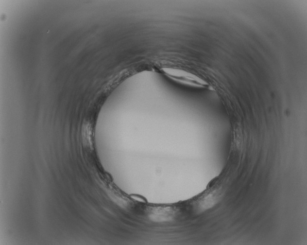 X0000083620575200703121631