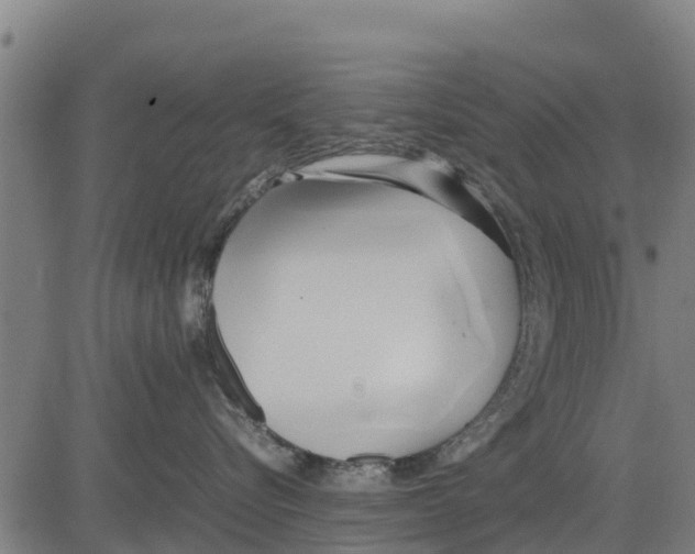 X0000083620576200703121631