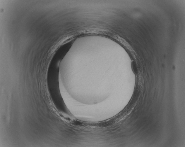 X0000083620577200703121631