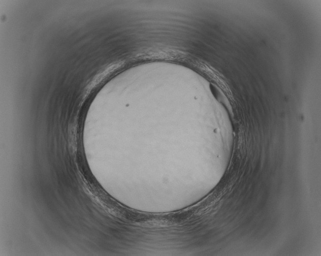 X0000083620578200703121631