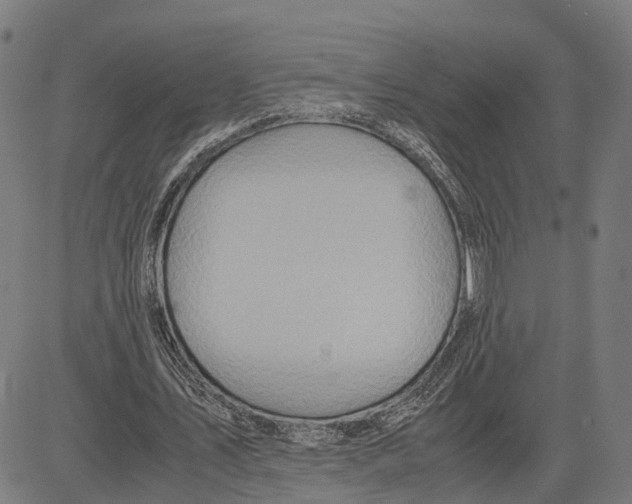 X0000083620579200703121631