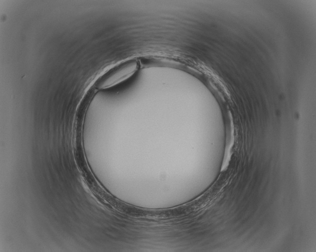 X0000083620580200703121630