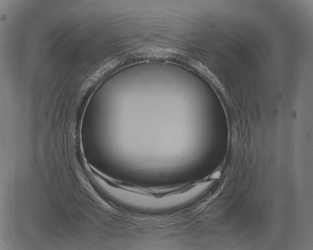 X0000083620581200703121630