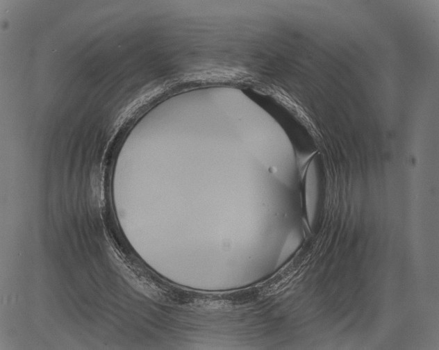 X0000083620582200703121630