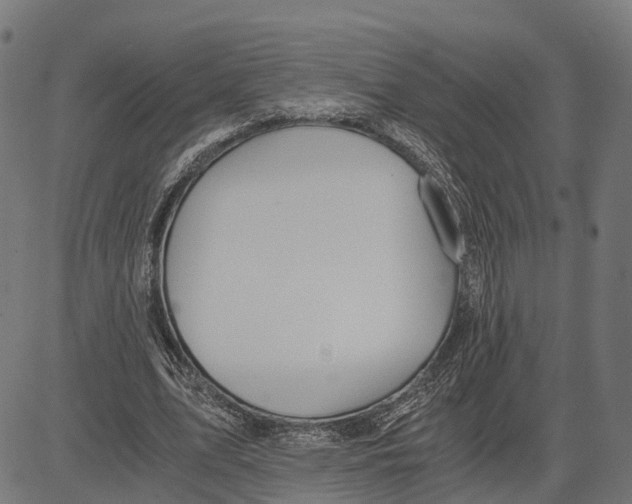 X0000083620583200703121630