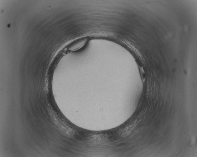 X0000083620584200703121630