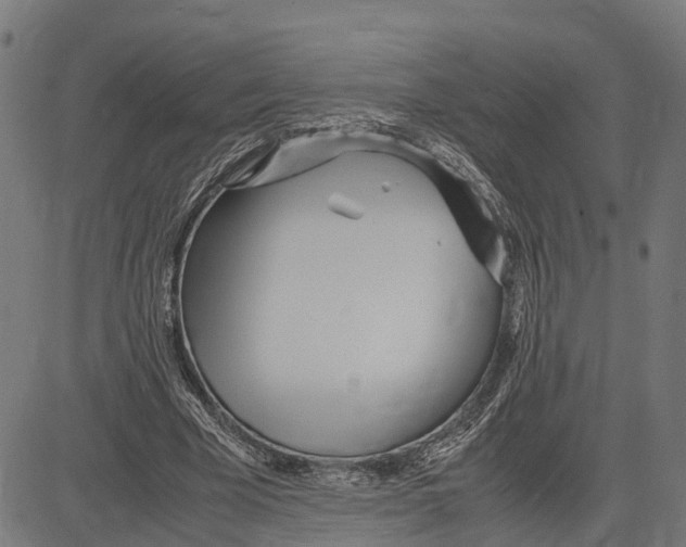 X0000083620585200703121630