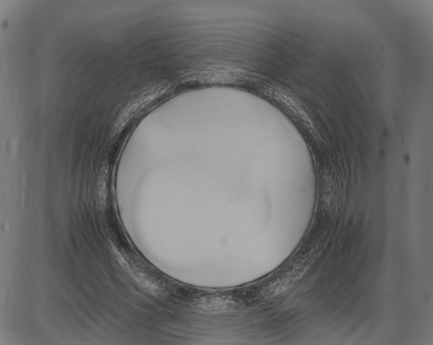 X0000083620586200703121630