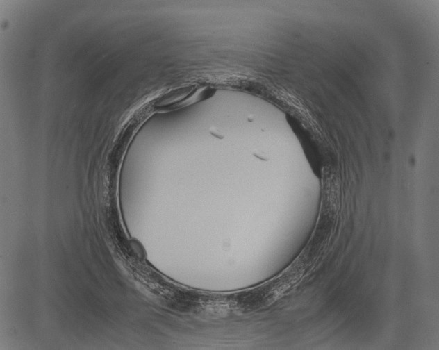 X0000083620587200703121630