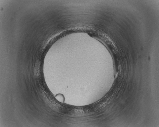 X0000083620588200703121630