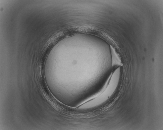 X0000083620589200703121630