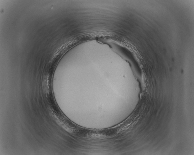 X0000083620590200703121630