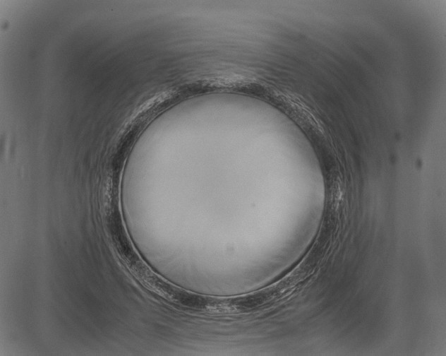 X0000083620591200703121630