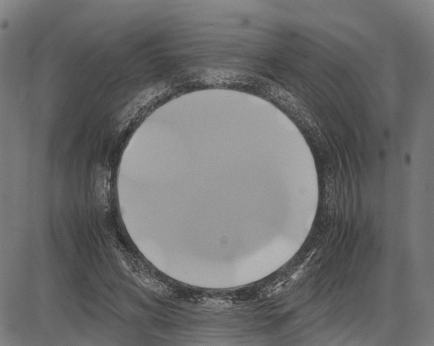 X0000083620592200703121630