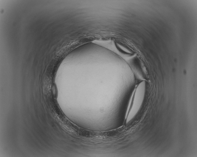 X0000083620593200703121630