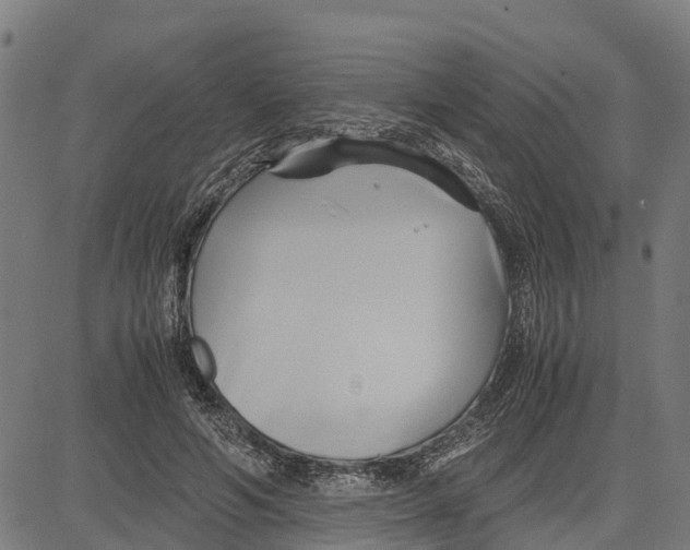 X0000083620594200703121630