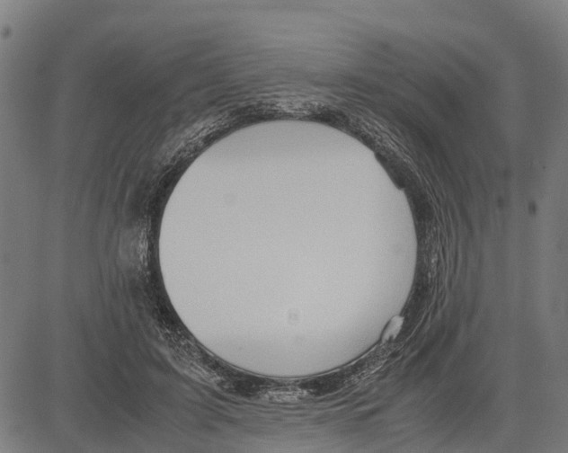 X0000083620595200703121630