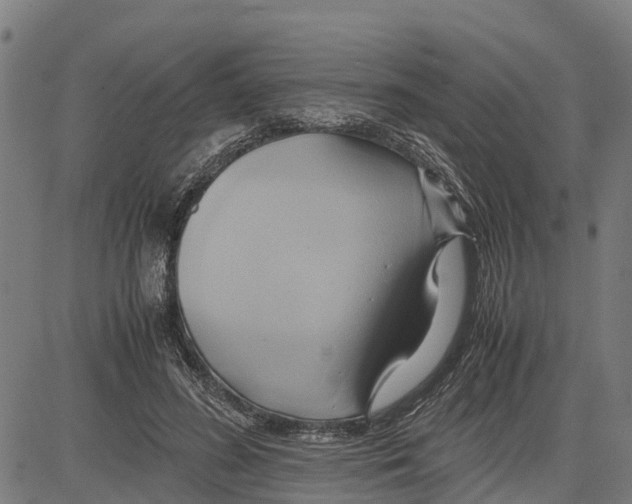 X0000083620596200703121630