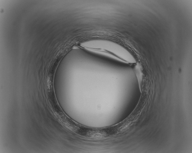 X0000083620597200703121630