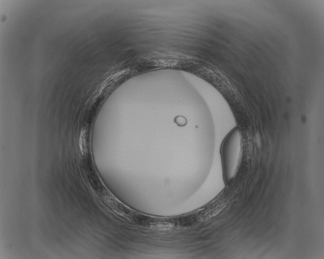 X0000083620598200703121630