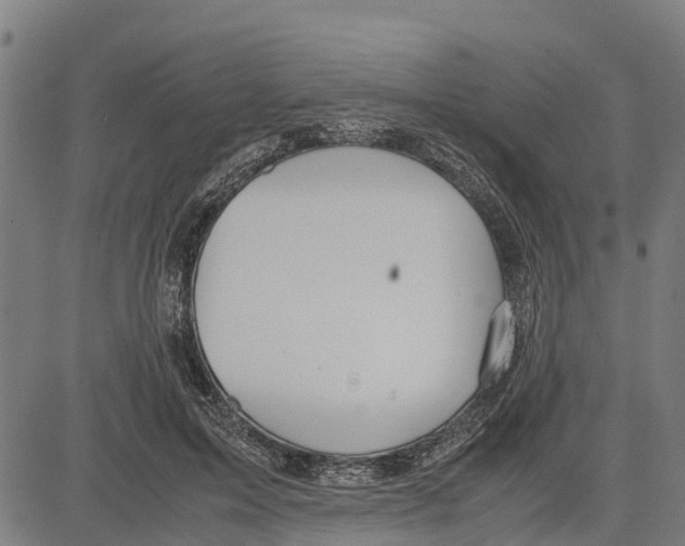 X0000083620599200703121630